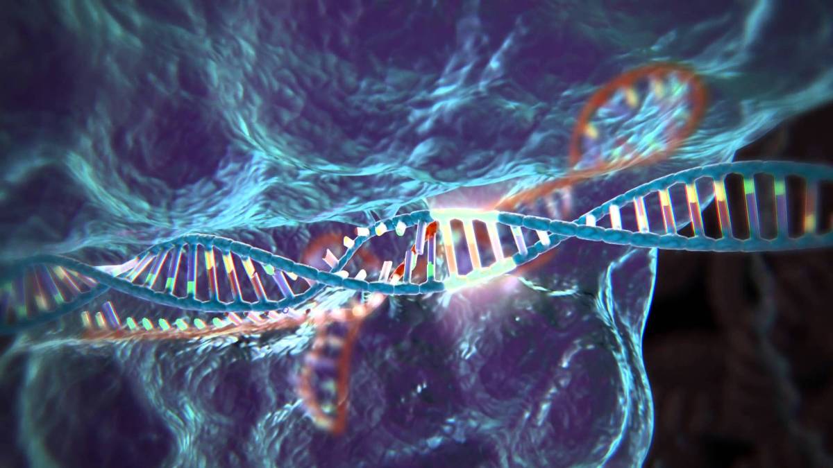 New software makes CRISPR-methodology easier