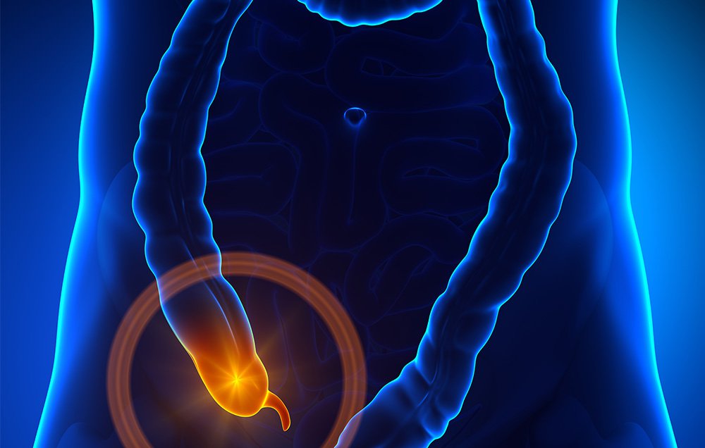 Your appendix might serve an important biological function after all