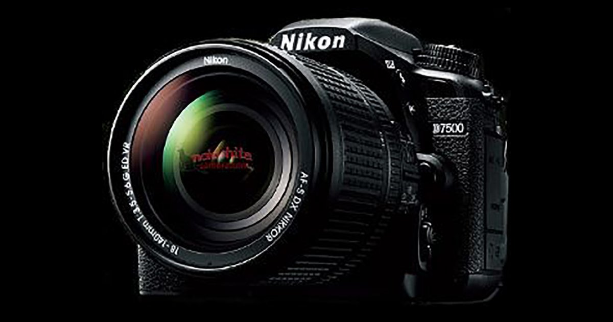Nikon D7500: Should I upgrade from my D7200?