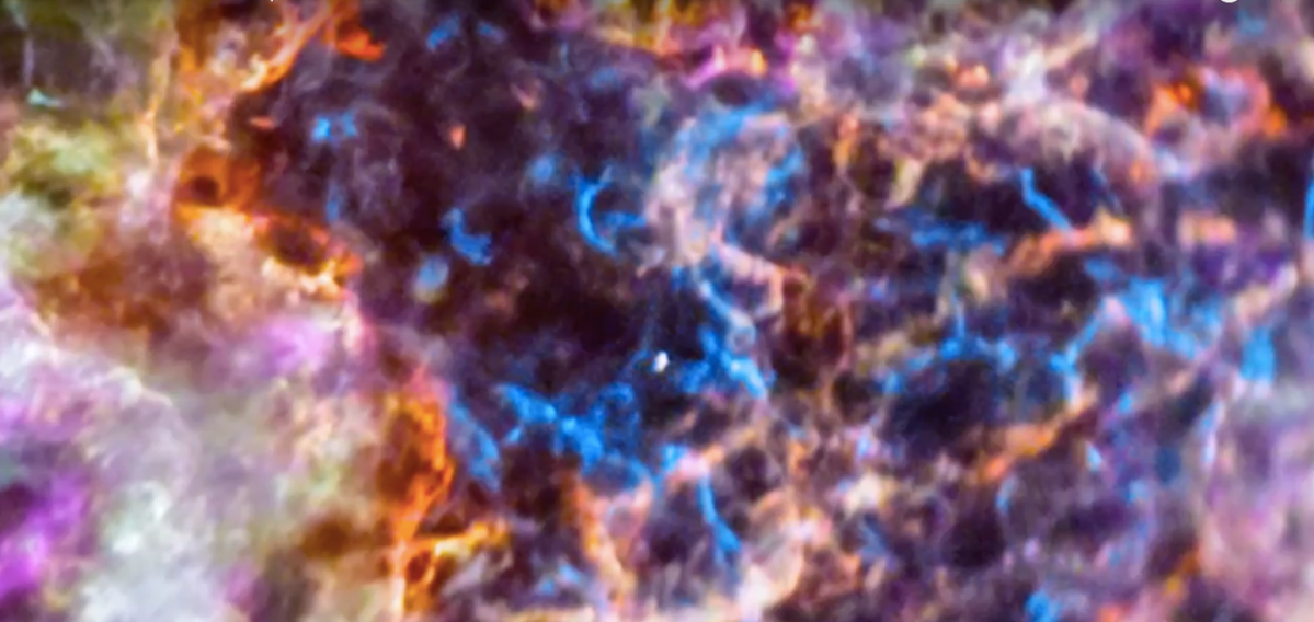 We Finally Know What Elements Are Contained in an Exploded Supernova