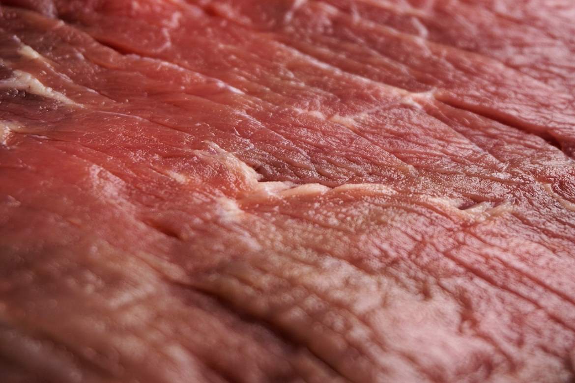 Feeding Your Cat or Dog a Raw Meat Diet Could Actually Be Dangerous