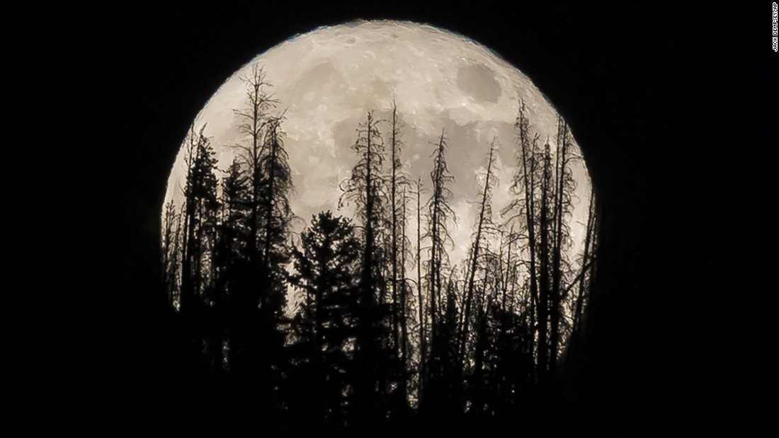 We’re About to See a Rare Moon That Hasn’t Appeared For More Than 150 Years