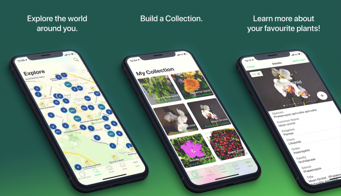 PlantSnap | Mobile App Instantly Identifies Plants, Trees, and Mushrooms
