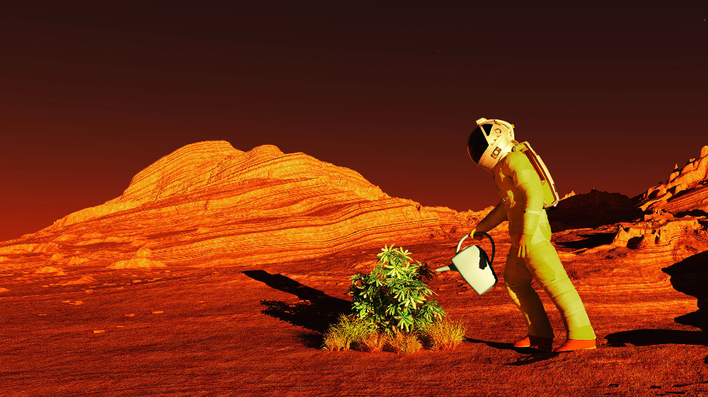 How to Grow Crops on Mars If We Are to Live on the Red Planet